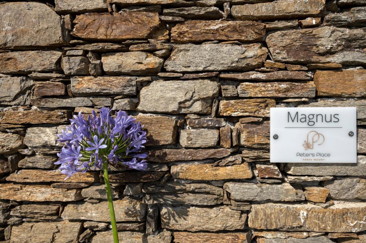 Peters Place - Paros Resort Parasporos Dış mekan fotoğraf